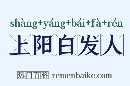 上阳白发人是什么意思的图片
